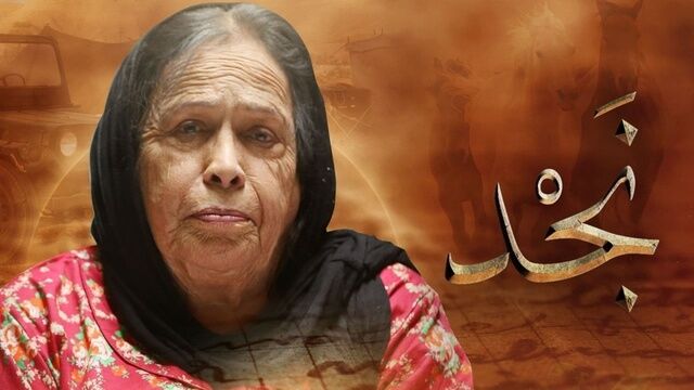 مشاهدة فيلم نجد اونلاين